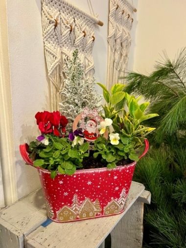 Christmas Planter