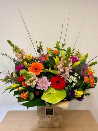 Bright Handtied